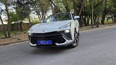 شرایط فروش لاماری ایما